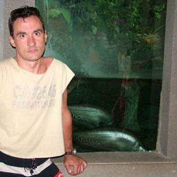 Игорь, Москва