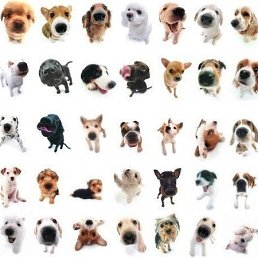 Леночка, Москва