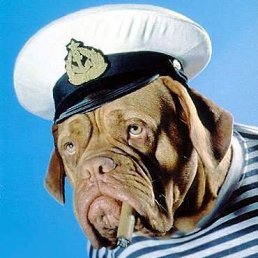 Илья, Москва