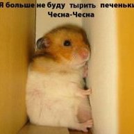 Евгений, Москва