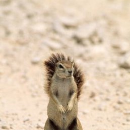 Юра, Москва