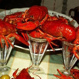 Таня, Москва