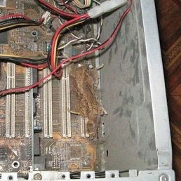 Вероника, Санкт-Петербург