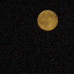 Вика, Днепропетровск