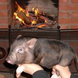 Егор, Москва