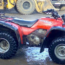 Алелсандр, Санкт-Петербург