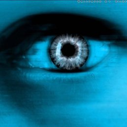 Олег, Санкт-Петербург