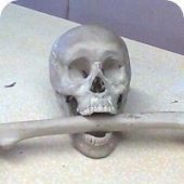 Лида, Санкт-Петербург