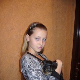 Vin, Киев