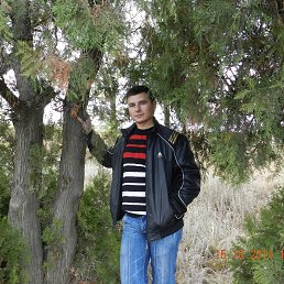 Антон, Пикалево