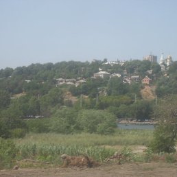 Зип, Москва