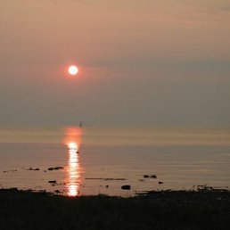 Димон, Киев