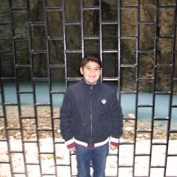 Темыч, Санкт-Петербург