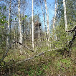 Акакий, Заводоуковск