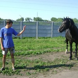 Эндрю, Коростень