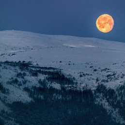 Сергей, Щекино