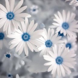 Юля, Санкт-Петербург