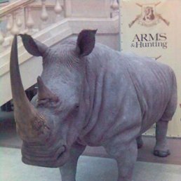 Владимир, Москва