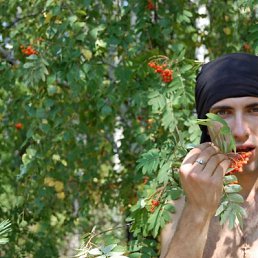 Джокер, Москва