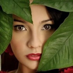 Аурика, Москва