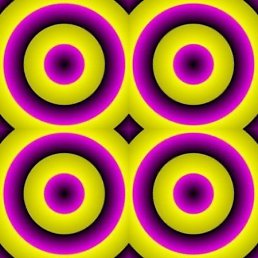 Стас, Могилёв