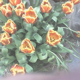 Юлия, Москва