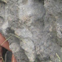 Александра, Москва