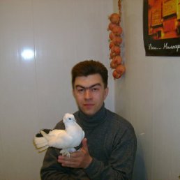 Liss868, Москва