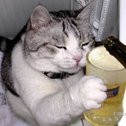 Игорь, Москва