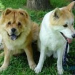 Настя, Москва