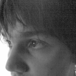 Санек, Москва