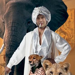 Дима, Киев